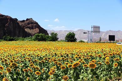 《怪物猎人：荒野》公测数据挖掘 人气怪物“海龙”将回归