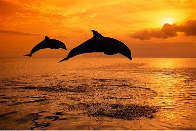 《降世神通：最后的气宗》9.22发售 登陆全平台